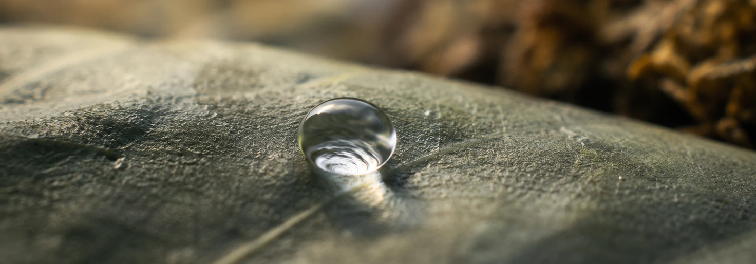 From industrial side streams to biosurfactant by fermentation